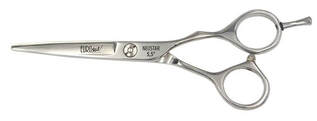 Neostar Silver Scissor